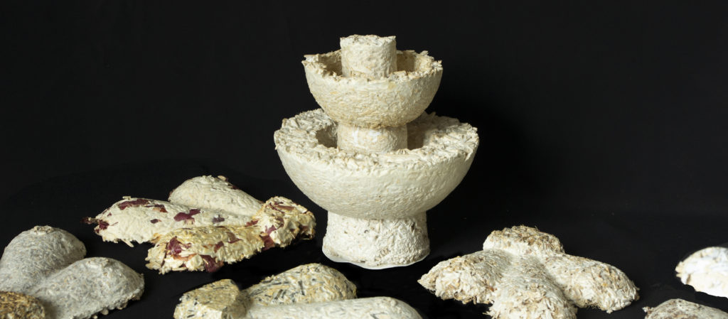 recherche mycelium louise rue
